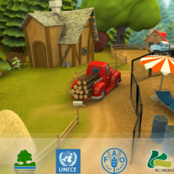FOREST CARE