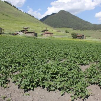 Supporting Smart Agriculture Development in Remote Areas of Village Shenako, Tusheti (Akhmeta Municipality)