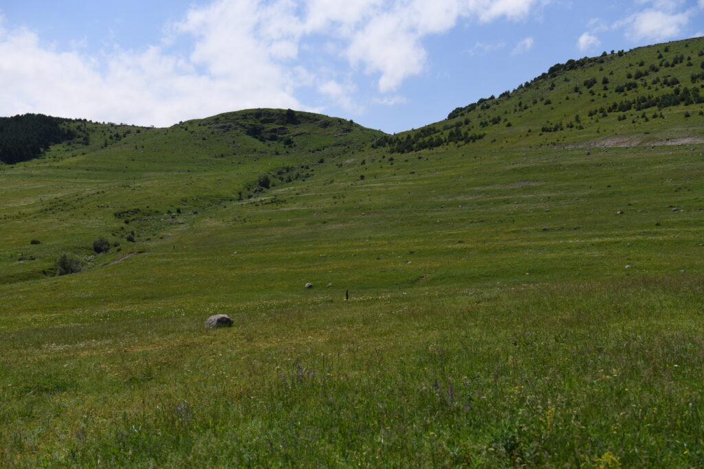 Achieving Land Degradation Neutrality Targets of Georgia through Restoration and Sustainable Management of Degraded Pasturelands