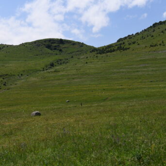 Achieving Land Degradation Neutrality Targets of Georgia through Restoration and Sustainable Management of Degraded Pasturelands