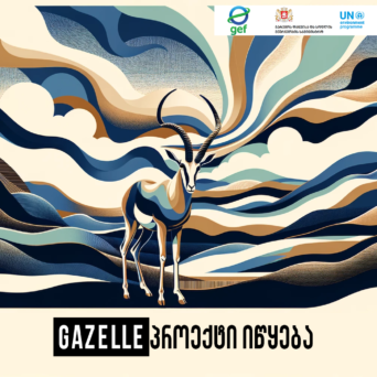 GAZELLE Project has been launched